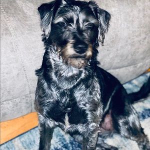 Meet your Posher, Terry